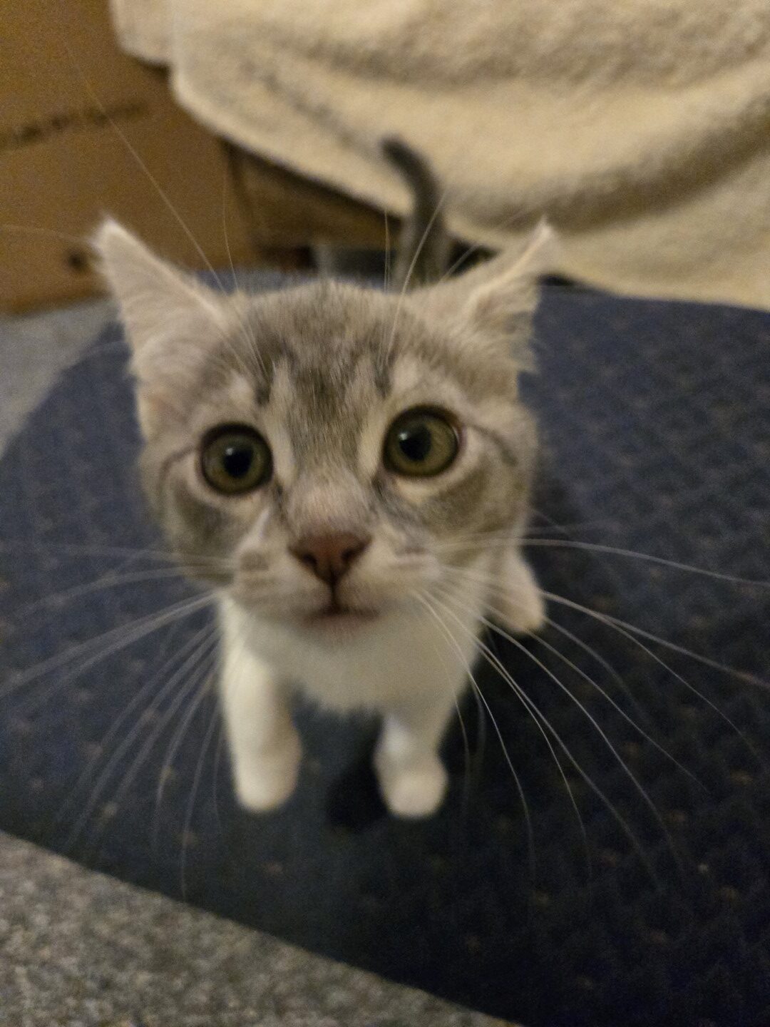 MacGyver to the Rescue